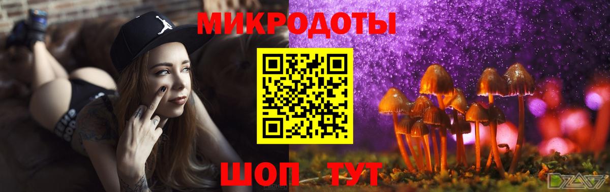 Псилоцибиновые грибы MAGIC MUSHROOMS Гусев